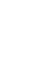 Visual-Spatial Intelligence