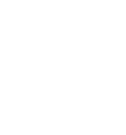 Intra Personal Intelligence