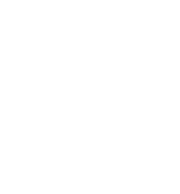 Verbal Linguistic Intelligence