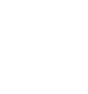 Bodily Kinesthetic Intelligence