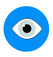 Visual Learning Style